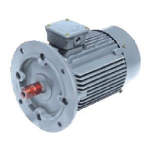 motor flange motors phase crompton purpose general ie1 induction pole mounted hp transmission power